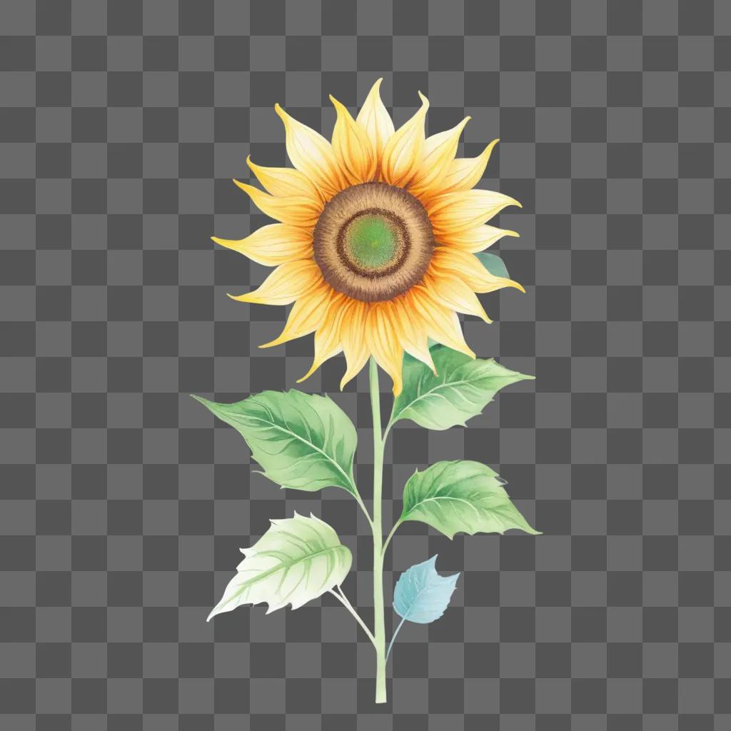 bright sunflower drawing on a green background