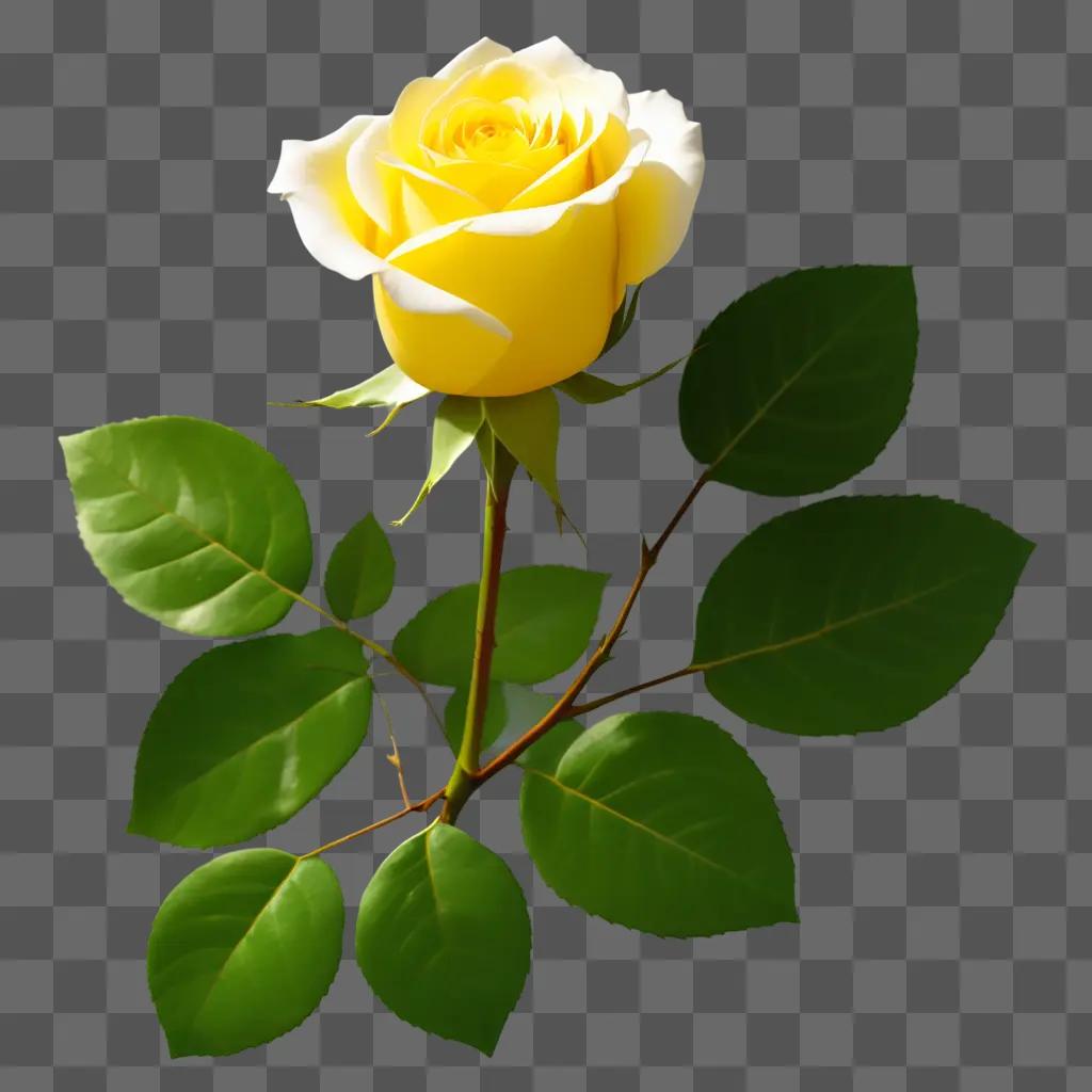 bright yellow rose on a green background