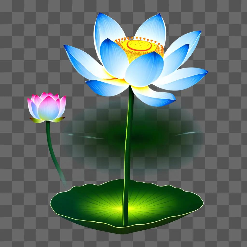 brightly lit lotus flower drawing against a dark background