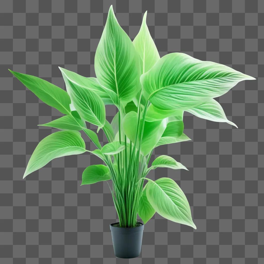 brightly lit plant in a pot against a green background