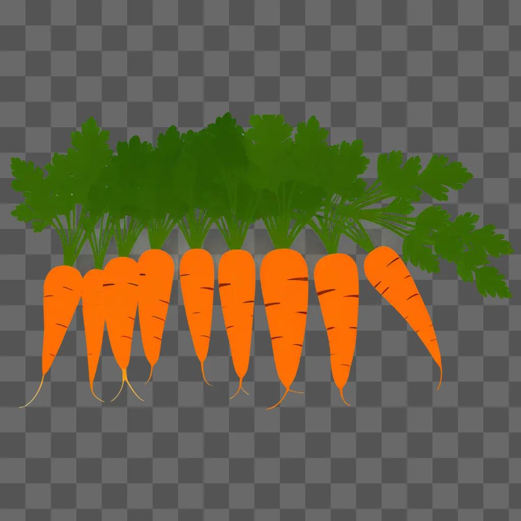 bunch of carrot clipart in a green background