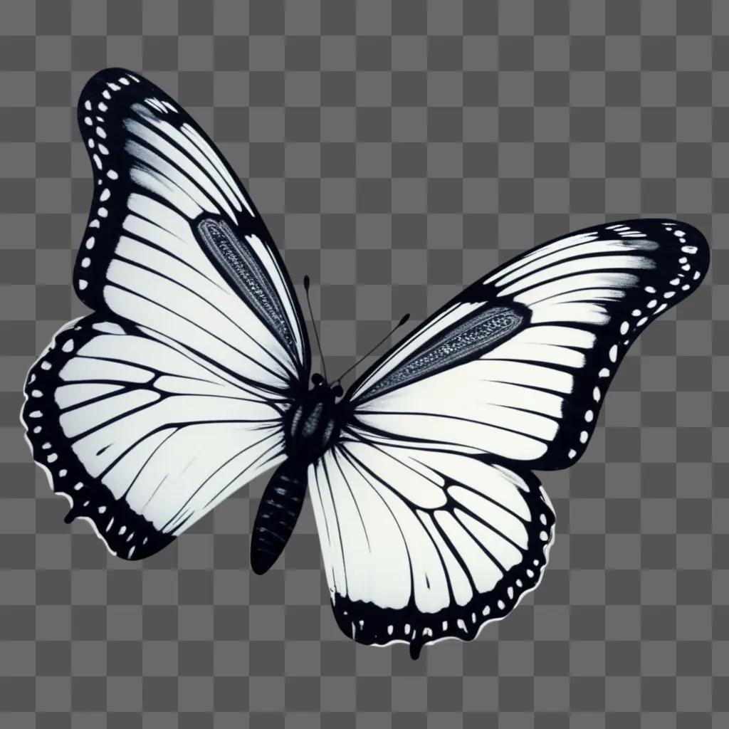 butterfly in black and white on a grey background