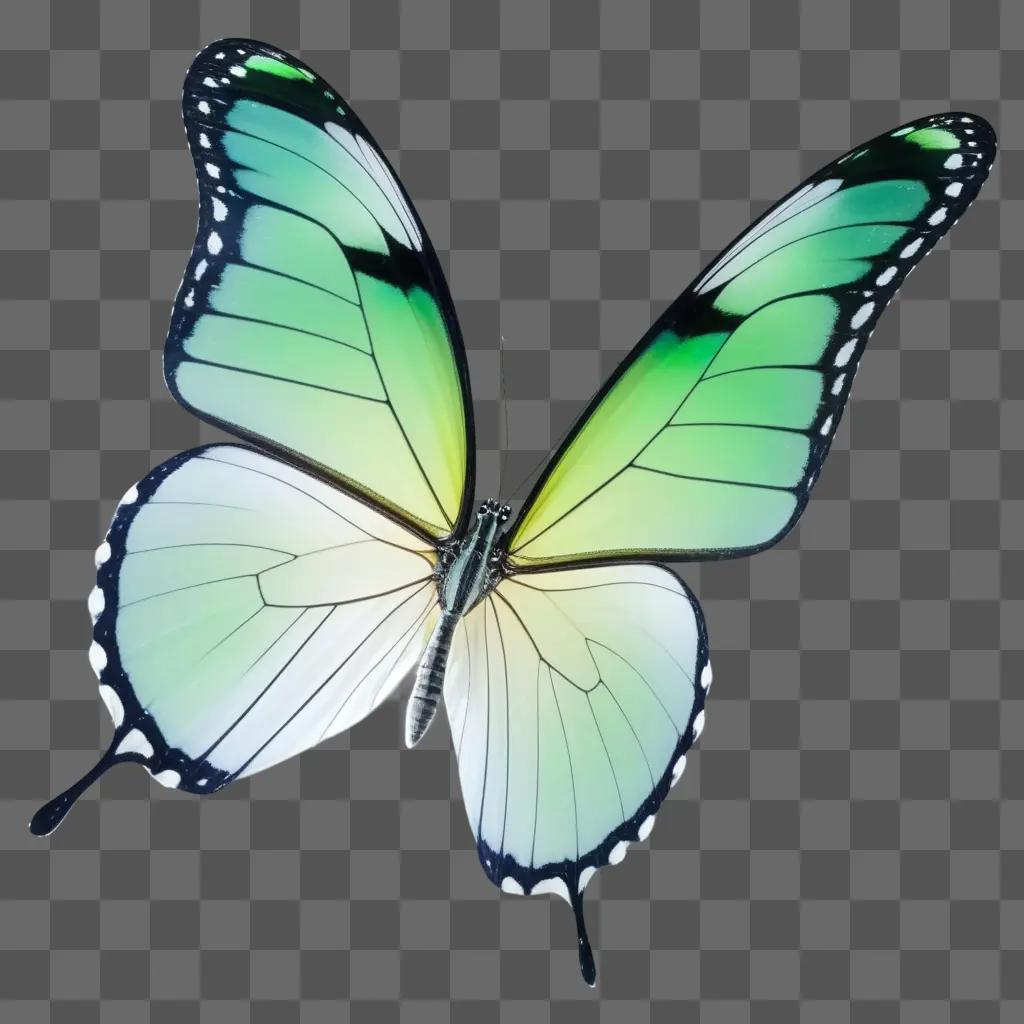 butterfly with a transparent wing against a green background