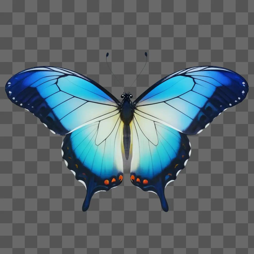 butterfly with blue and yellow wings on a blue background