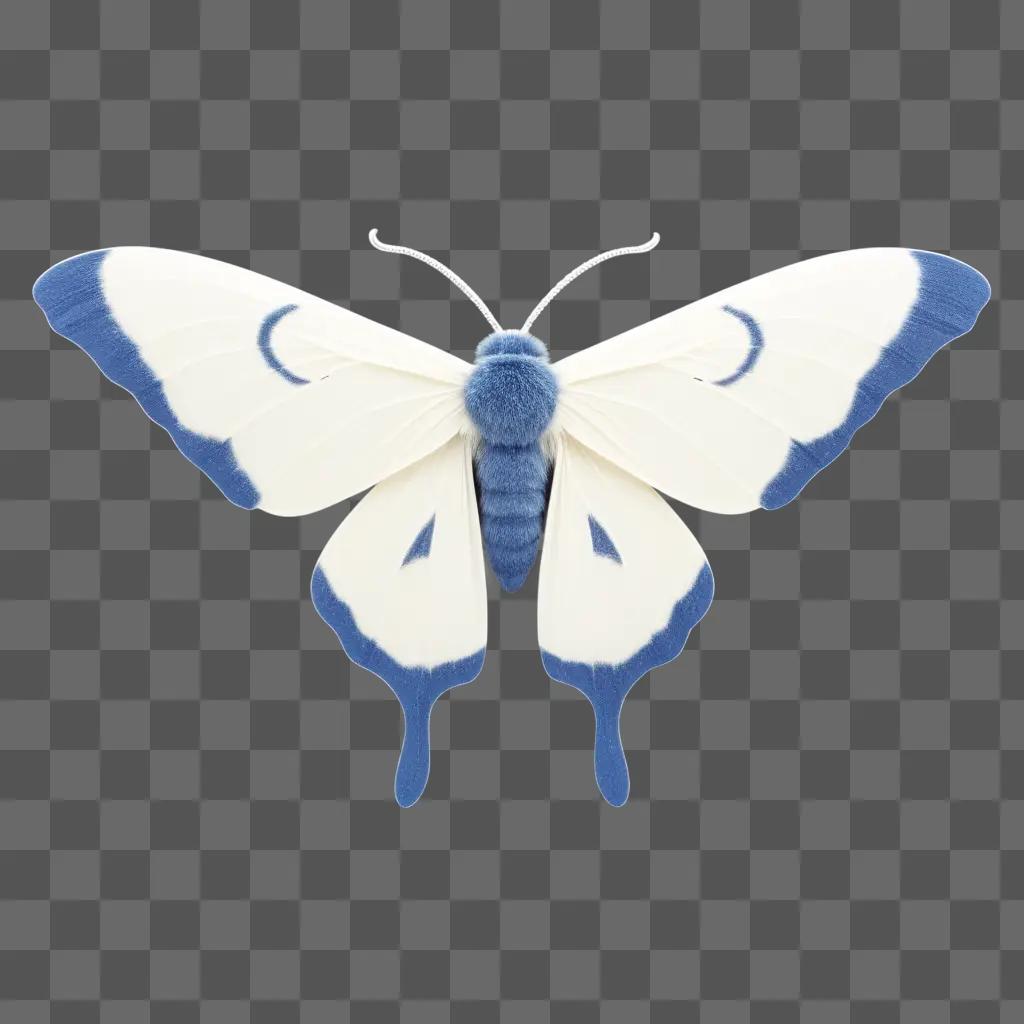 butterfly with blue wings and a white body