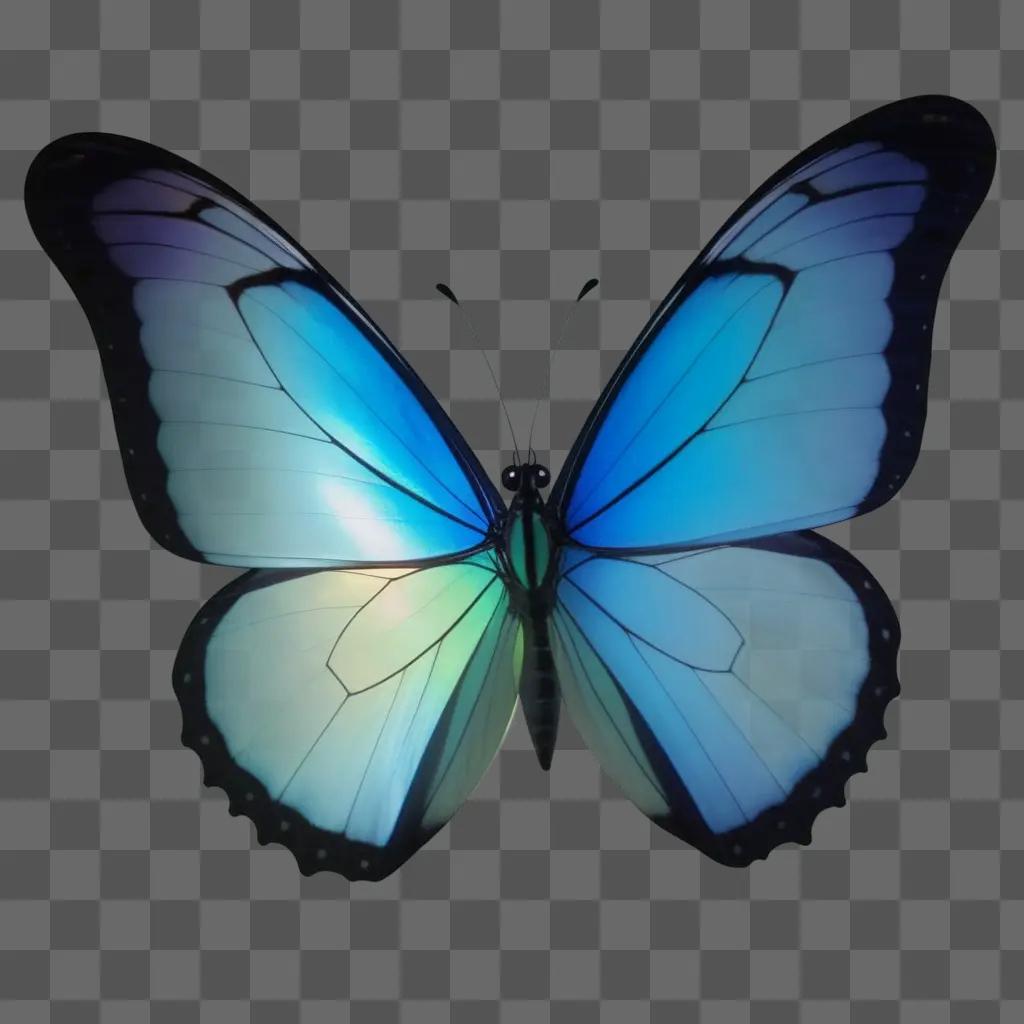 butterfly with transparent wings is on a blue background