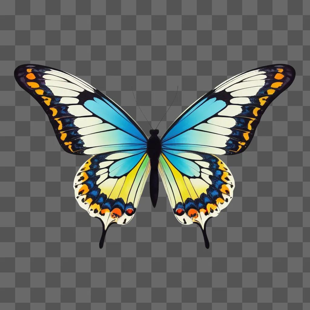 butterfly with vibrant colors and a light blue body