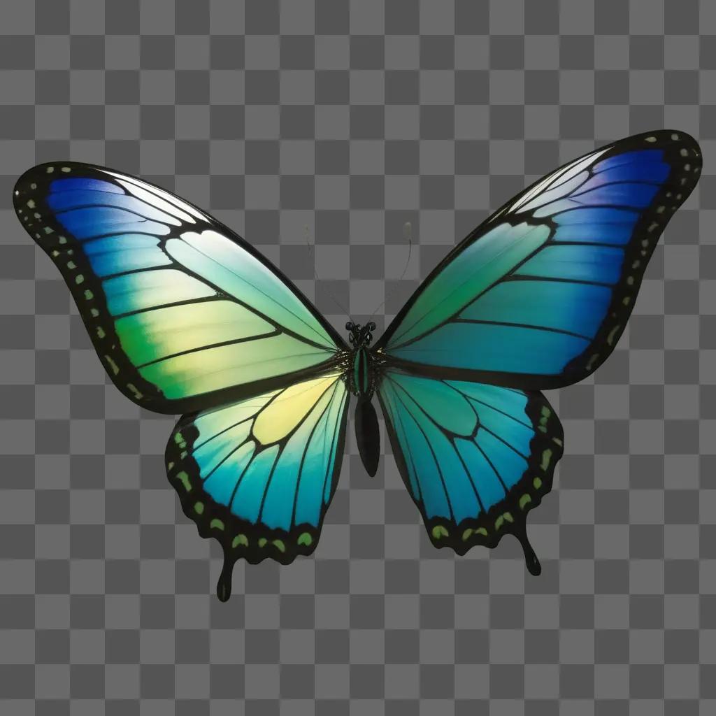 蝶の羽は美しい色のディスプレイです