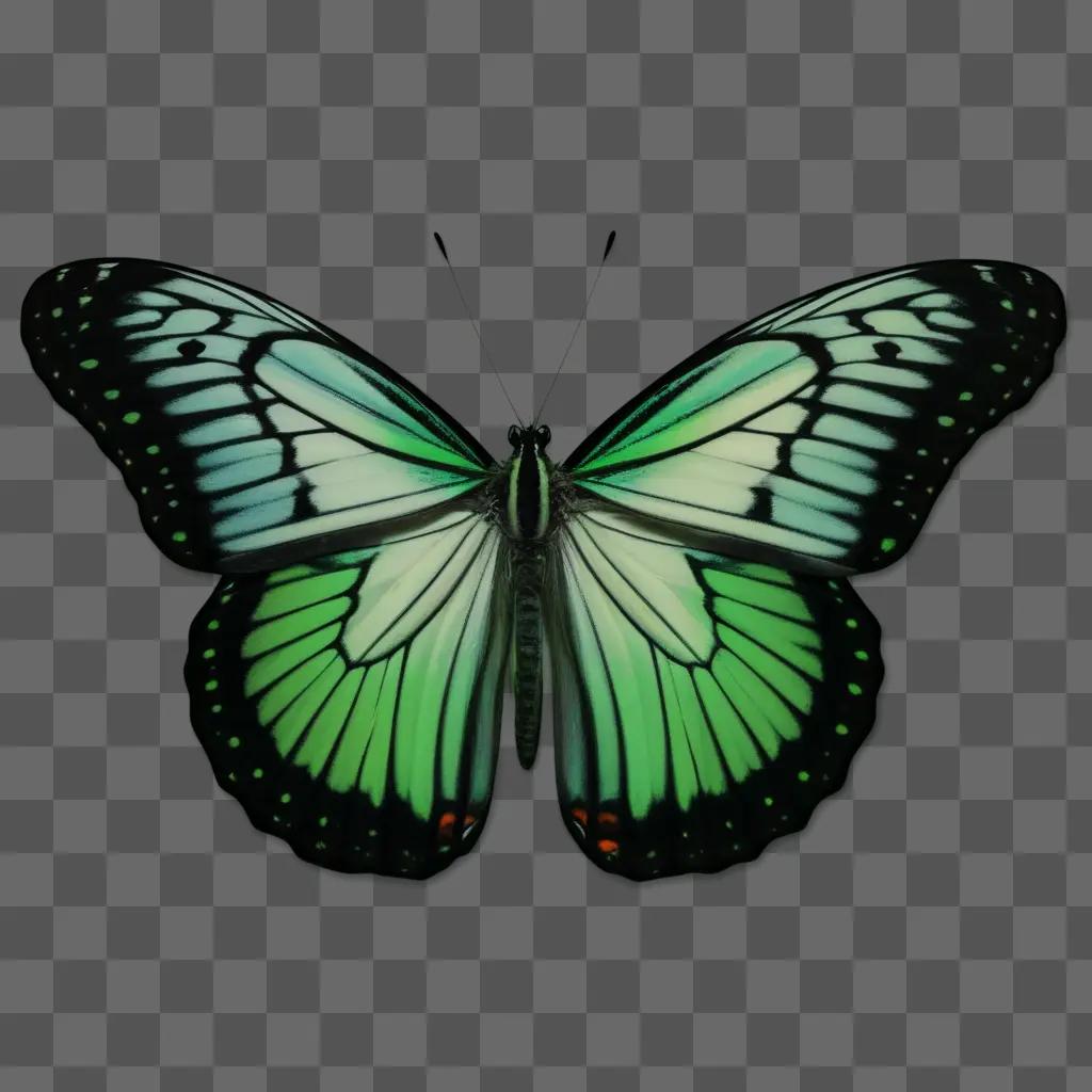緑の背景に蝶の羽がはためく
