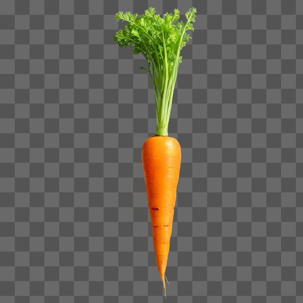 carrot drawing realistic Carrot with green shoots on a yellow background