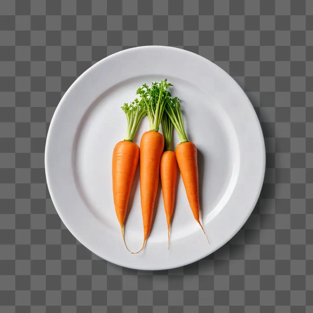 carrot drawing realistic Four carrots on a white plate on a gray background