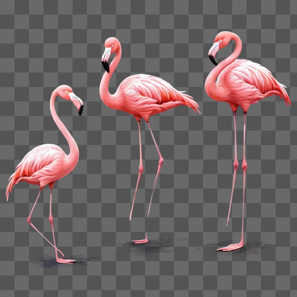 cartoon flamingos drawing Three pink flamingos on a pink background