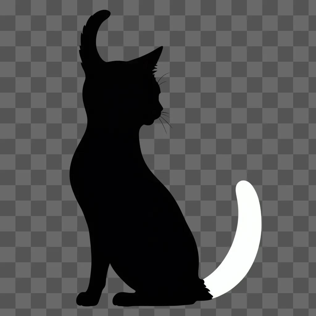 cat silhouette sits in the dark