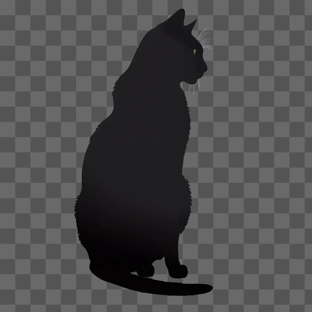 cat silhouette sits in the darkness