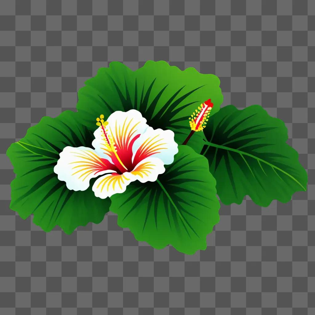 clipart hibiscus on green background