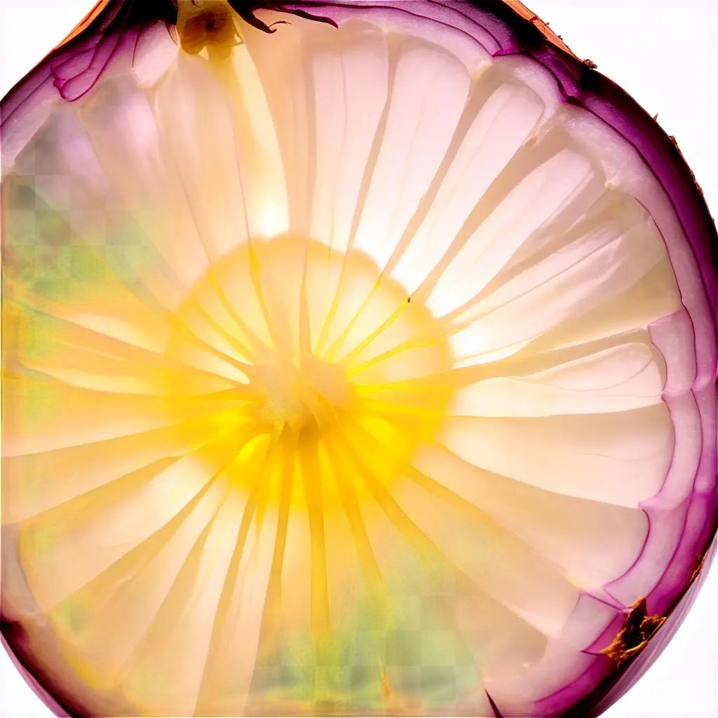 close-up of a sliced onion reveals a purple and white interior