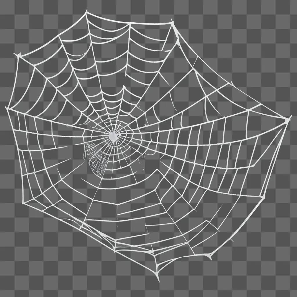 cobweb is transparent with a black spider in it