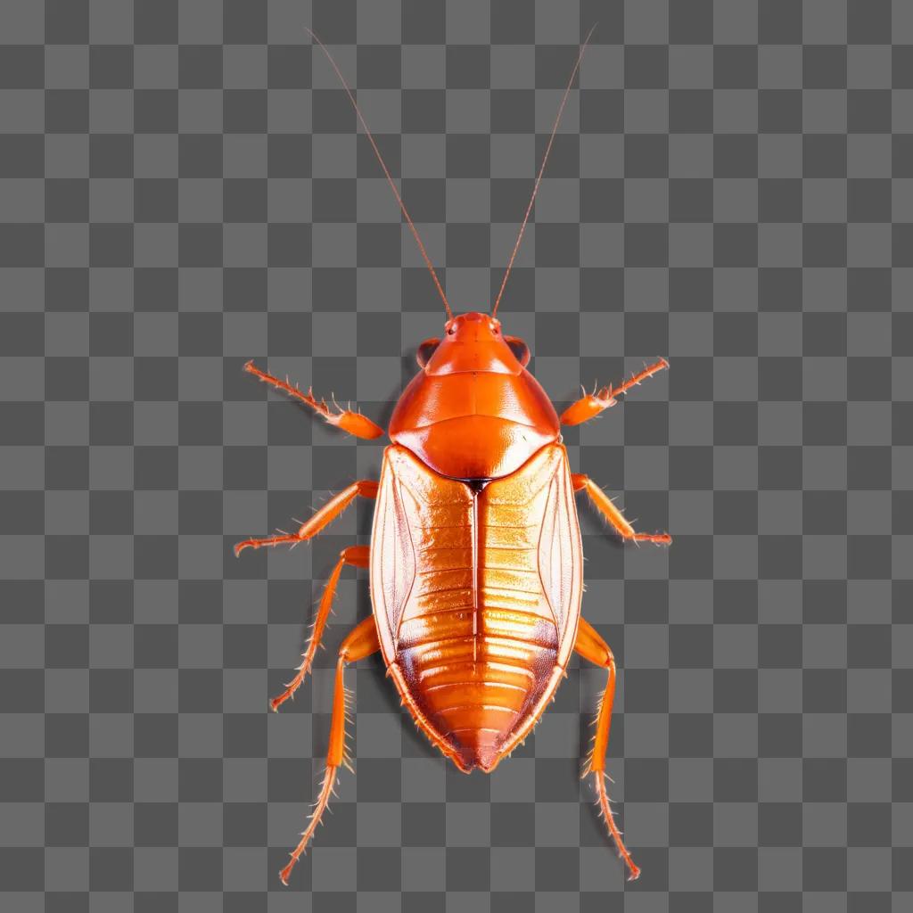 cockroach with long legs and antennae on a light background