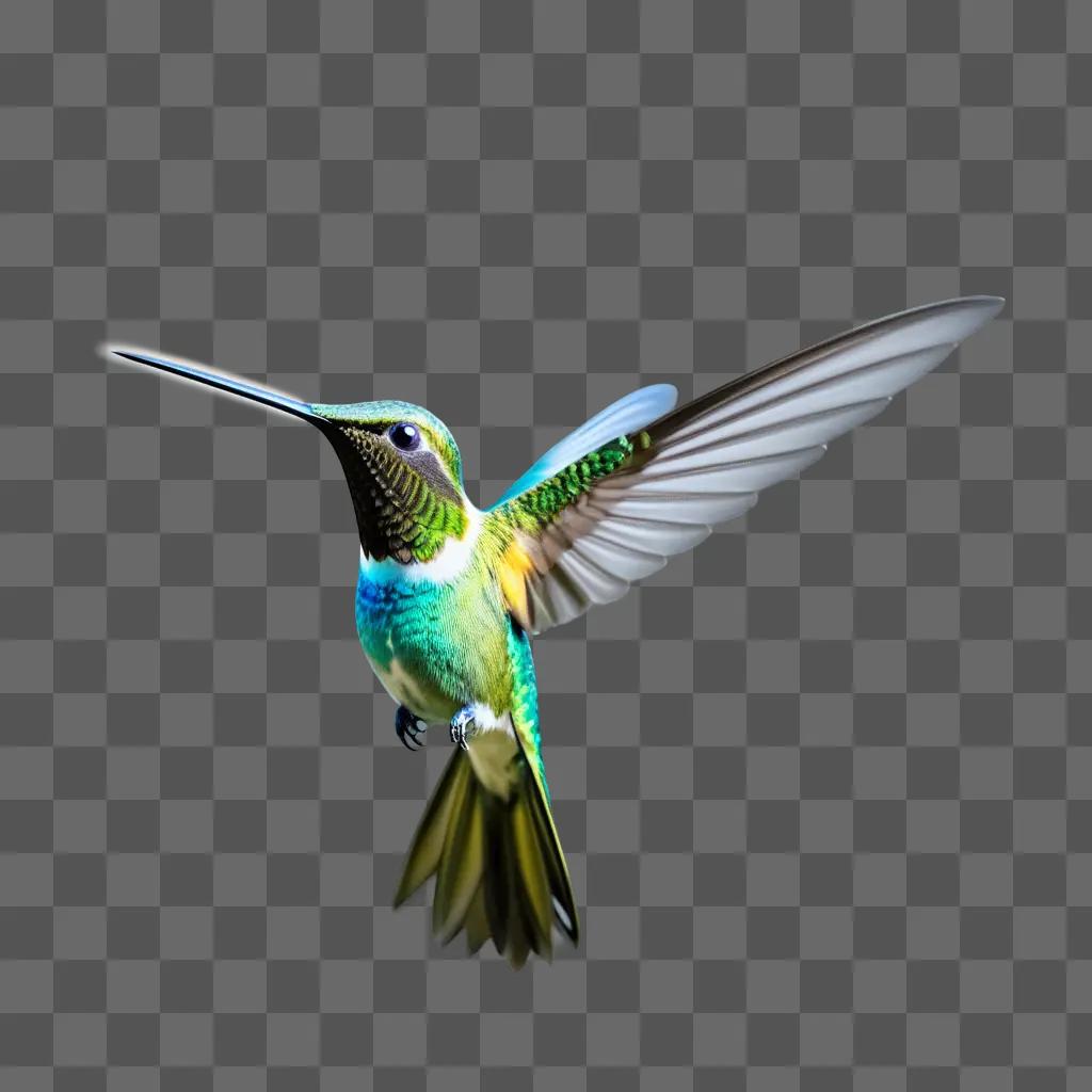青と緑の体と黄色の翼を持つコリブリ