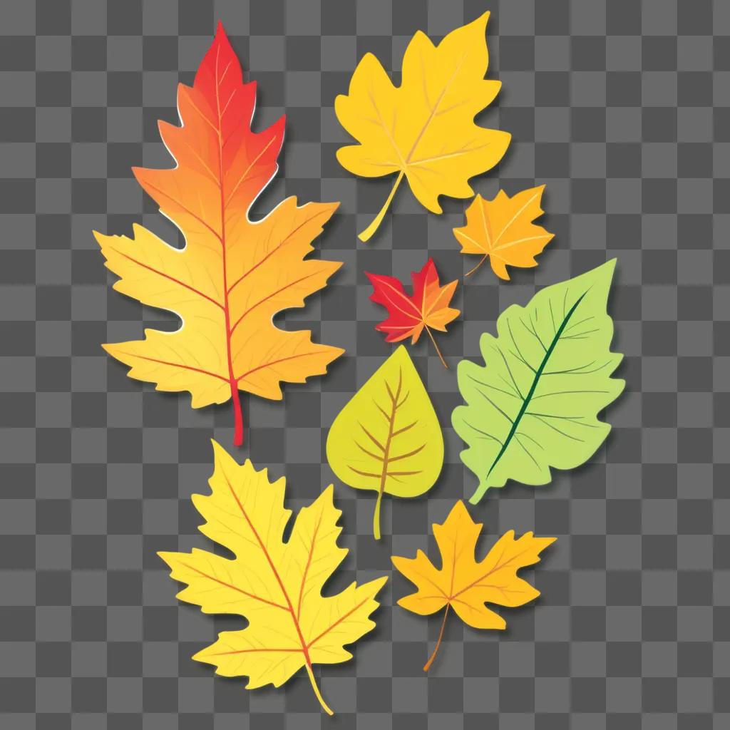 collection of autumn leaves in various colors