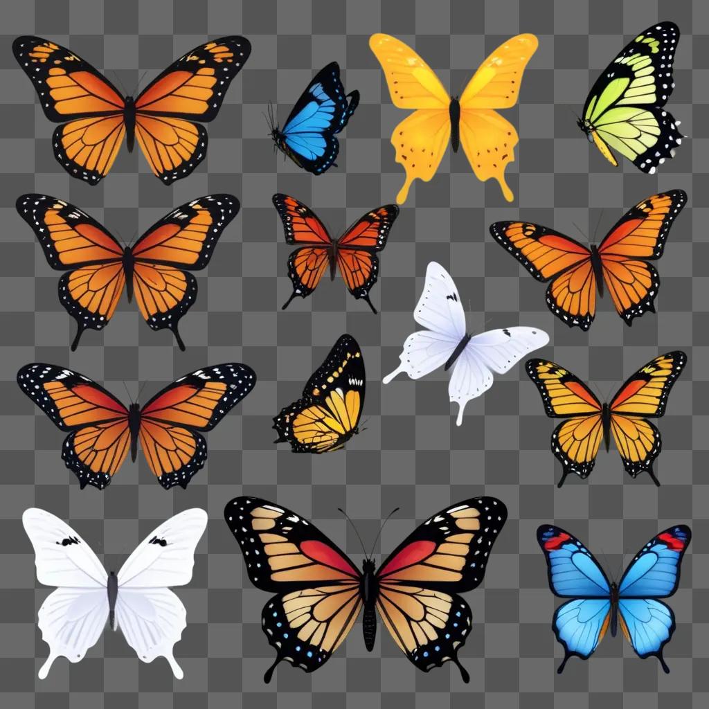 collection of butterfly clipart designs