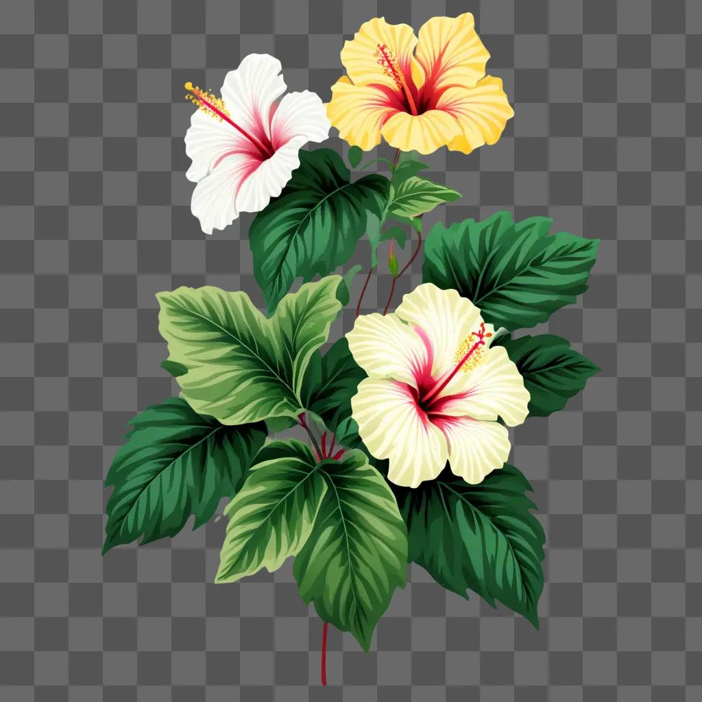 collection of clipart hibiscus flowers