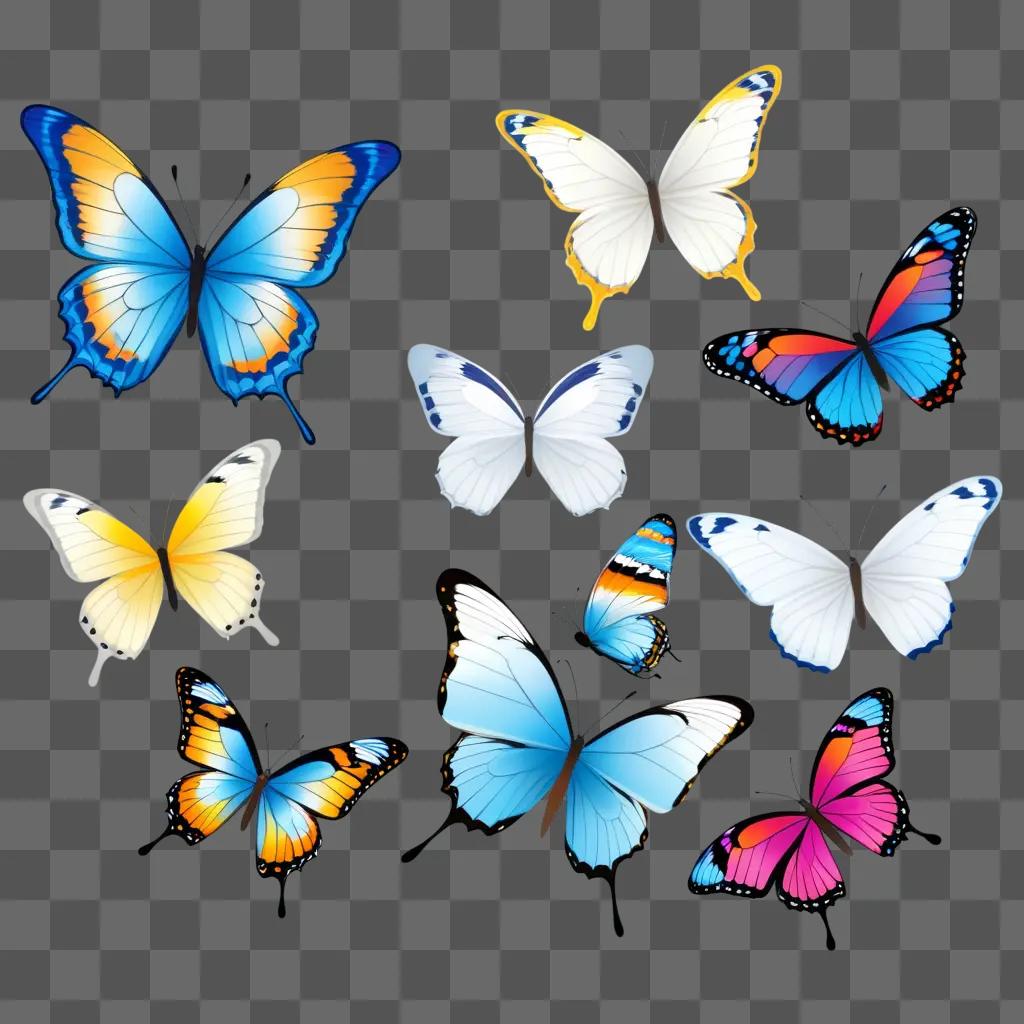 collection of colorful butterflies in a collage