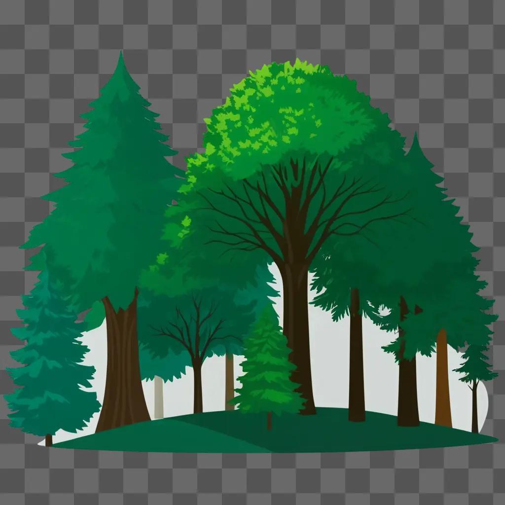 collection of green trees in a forest