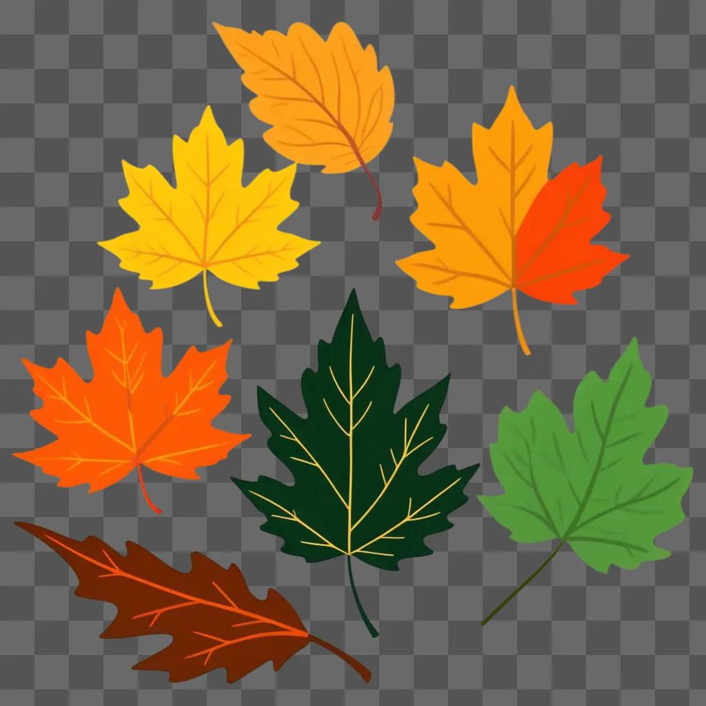 collection of leaves in various colors