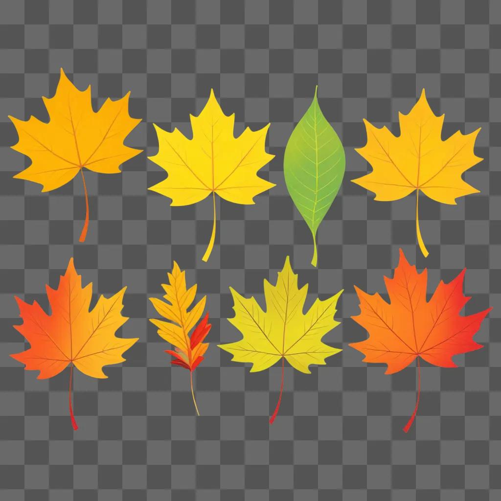 collection of leaves in various colors and sizes