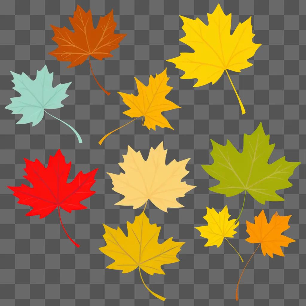 collection of leaves in various colors