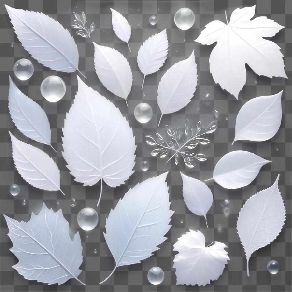 collection of transparent leaf textures and shapes