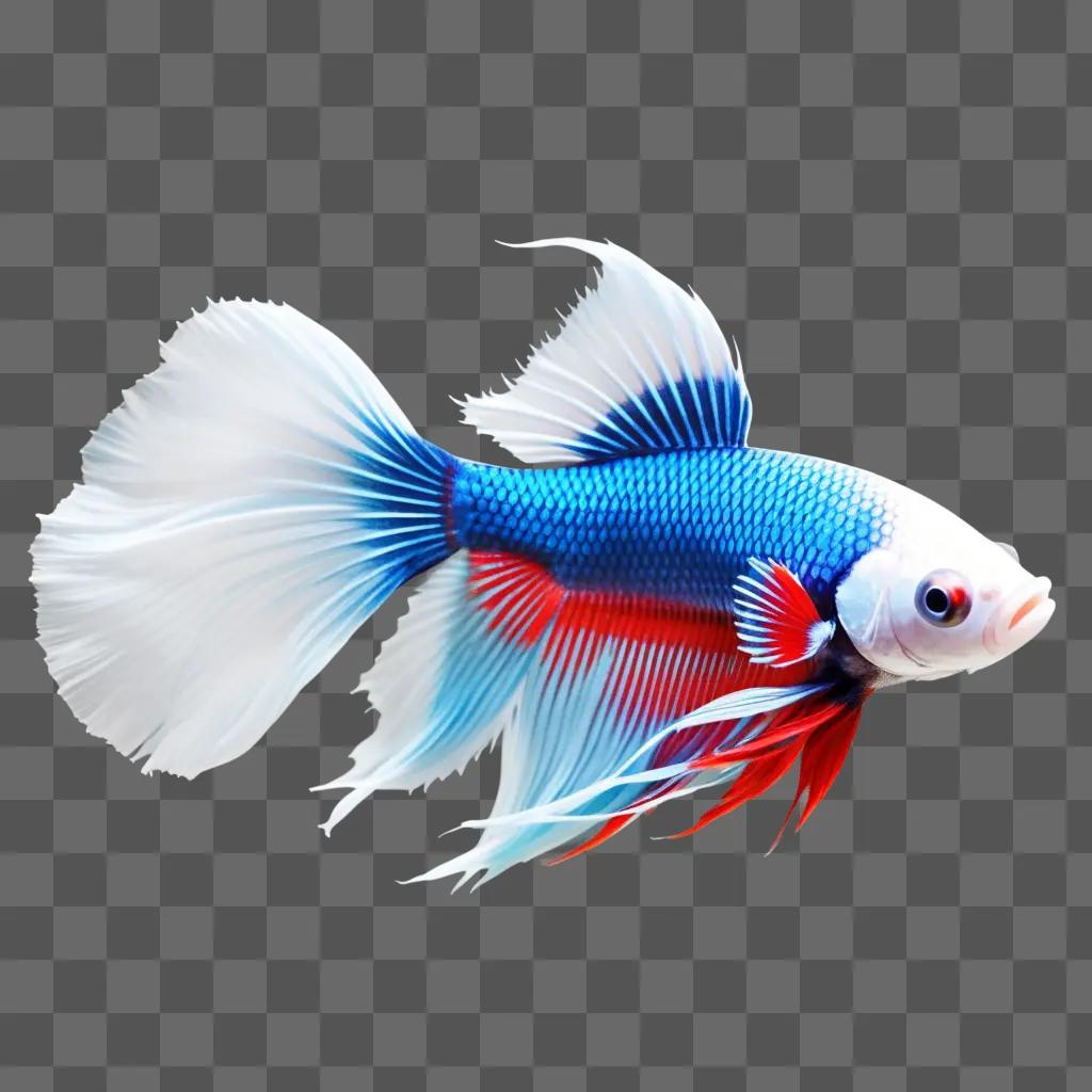 colorful Betta fish swims in a blue background