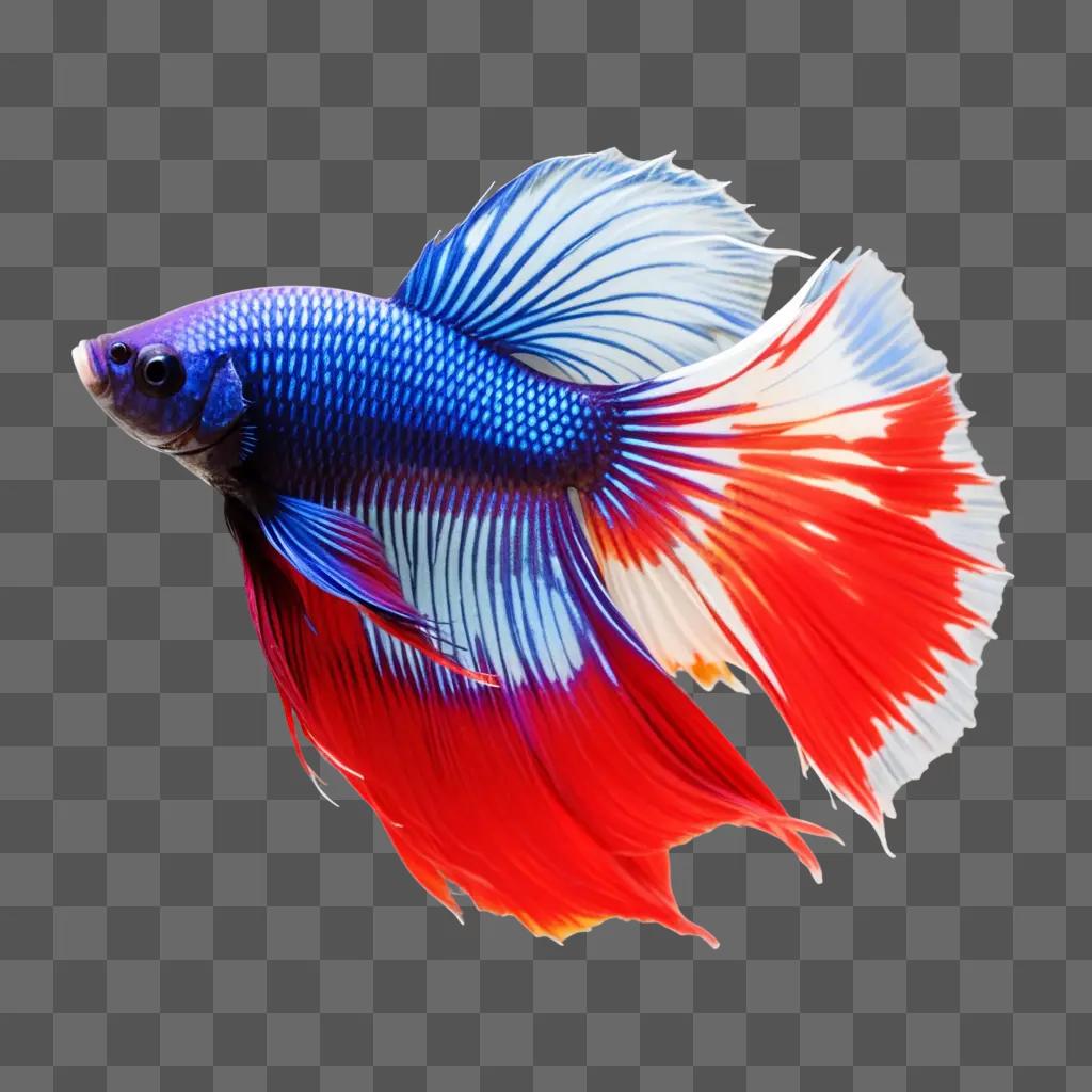 colorful betta fish on a pink background