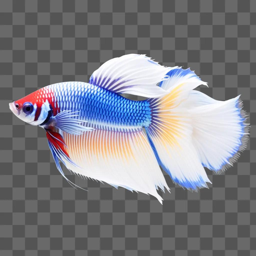 colorful betta fish with a blue and white tail