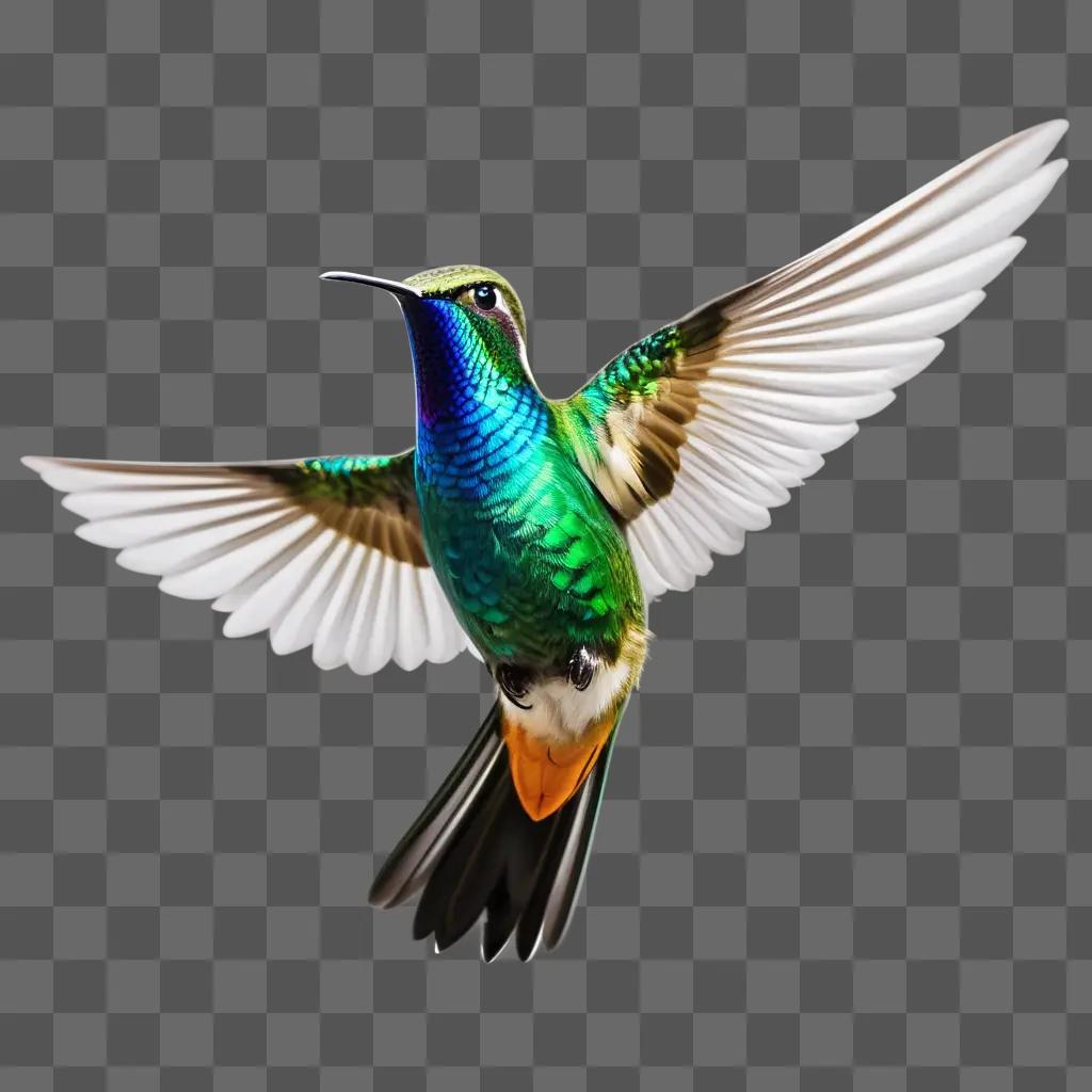 colorful bird with its wings spread