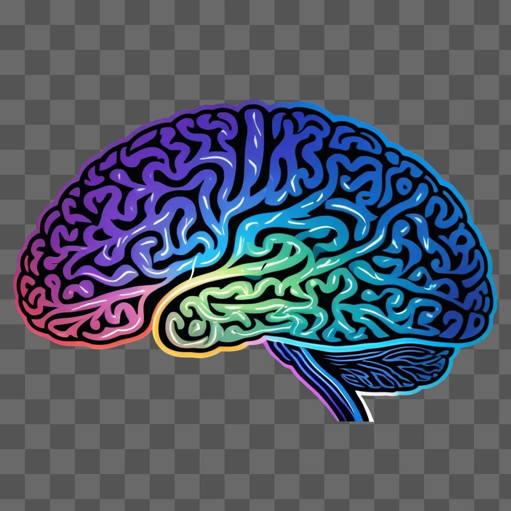 colorful brain clipart illustration