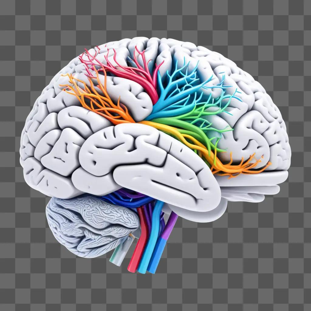 colorful brain drawing on a gray background