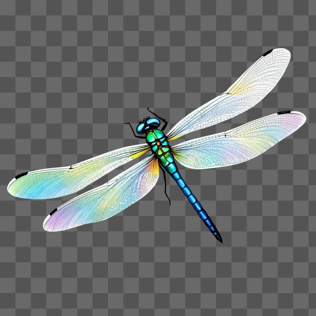 colorful dragonfly on a white background