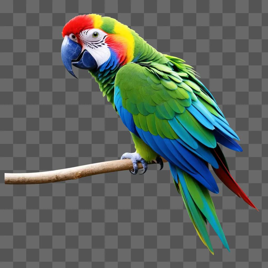 colorful parrot sits on a branch