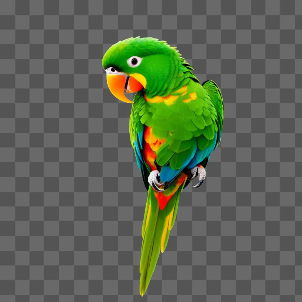 colorful parrot with a green background