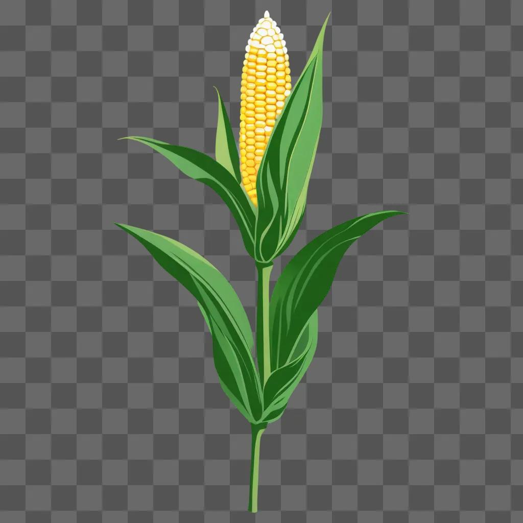 corn stalk with yellow flower on green background