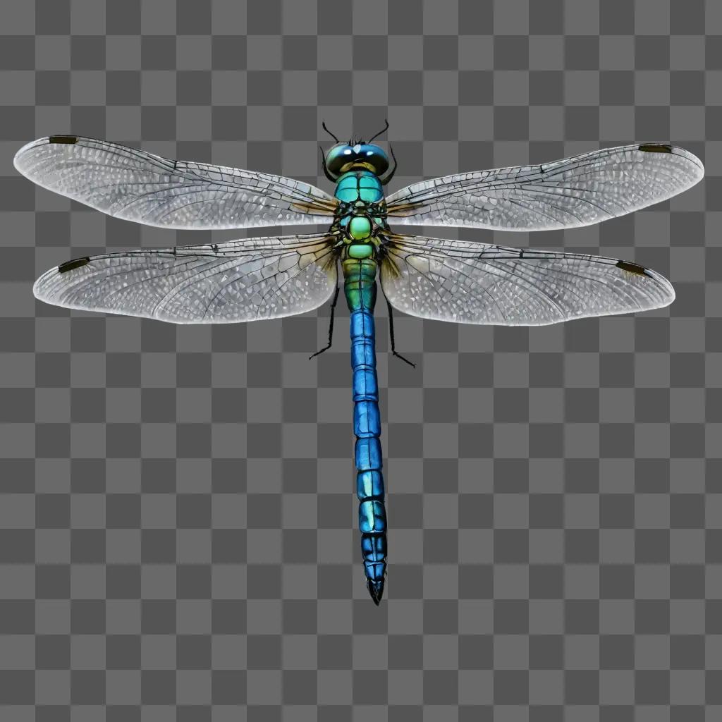 coy dragonfly drawing A blue and green dragonfly with black wings