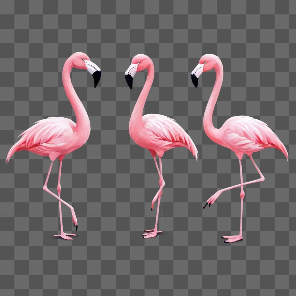 cute flamingos drawing Three pink flamingos stand on pink background