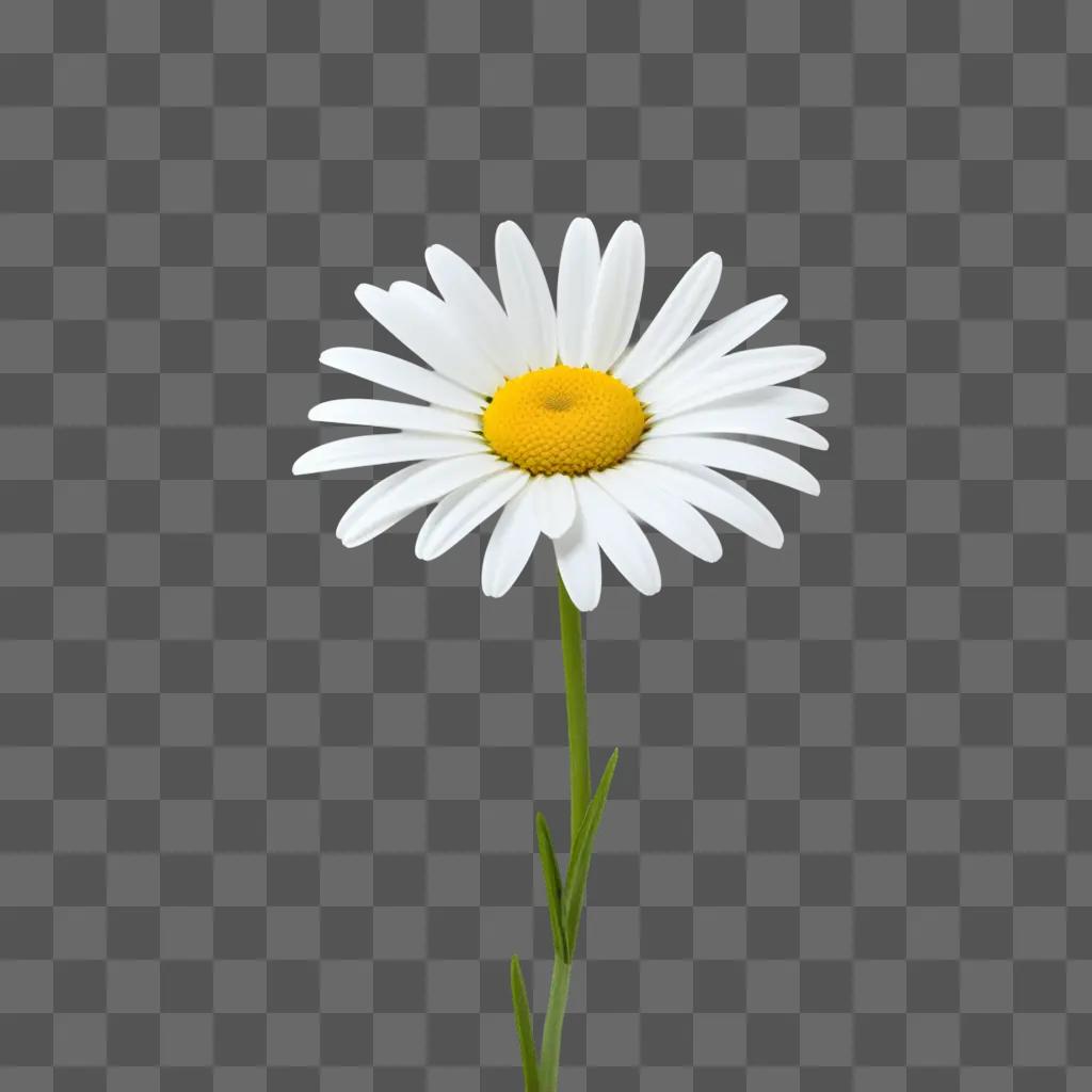 daisy is drawn with blurry green leaves