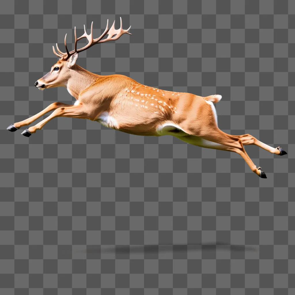 deer leaps through the air with a leg in the air