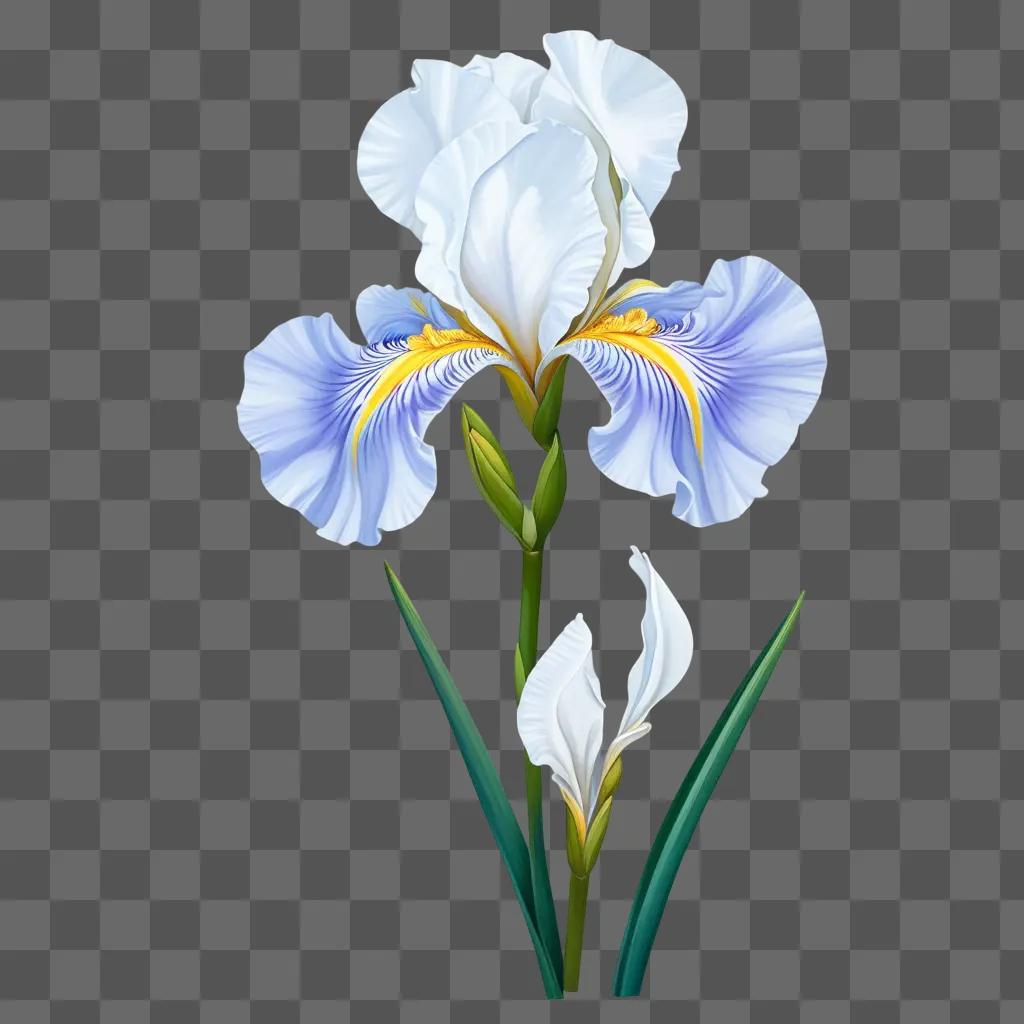 青と白のアイリスの花のデジタルドローイング