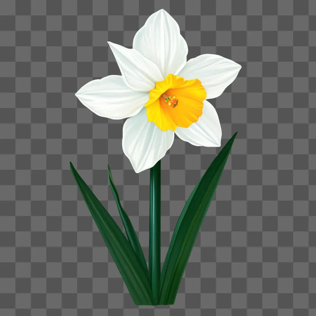 digital drawing of a narcissus flower