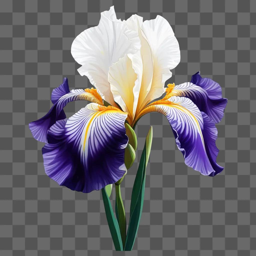 紫色のアイリスの花のデジタルイラスト