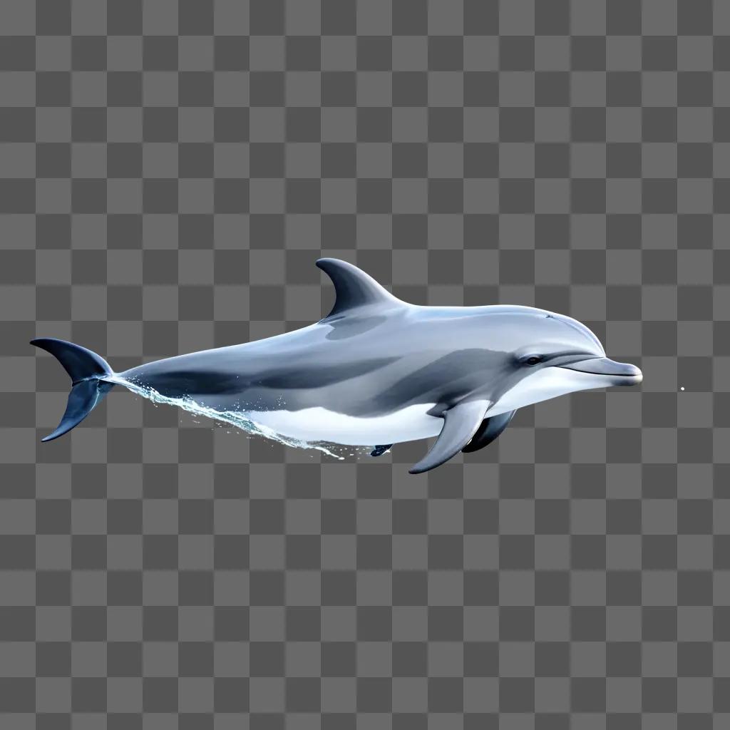 dolphin drawing is simple and clean